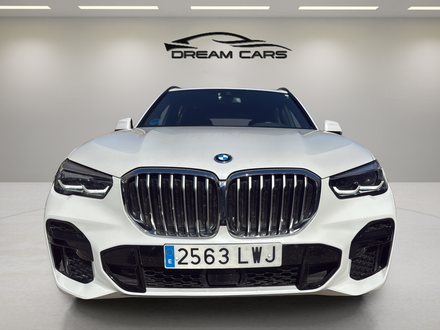 Foto del BMW X5 xDrive 45e