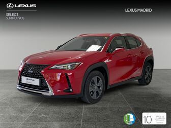 Imagen de LEXUS UX 250h Business 4WD