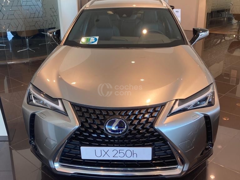 Foto del LEXUS UX 250h Business 2WD