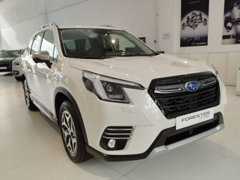 Imagen de SUBARU Forester 2.0i Hybrid Executive CVT