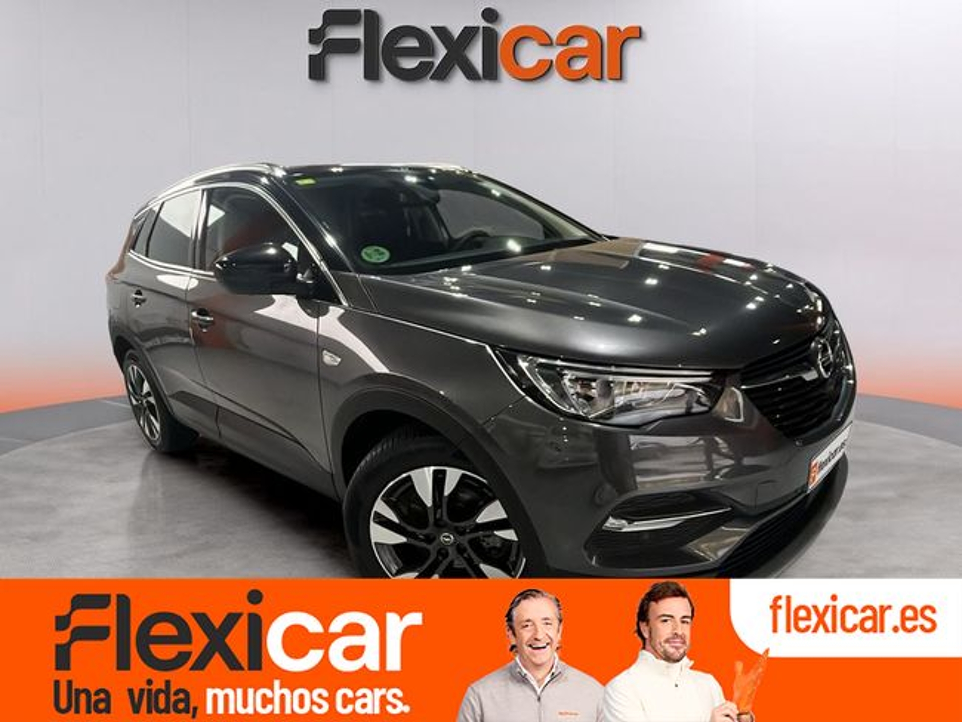 Imagen de OPEL Grandland X