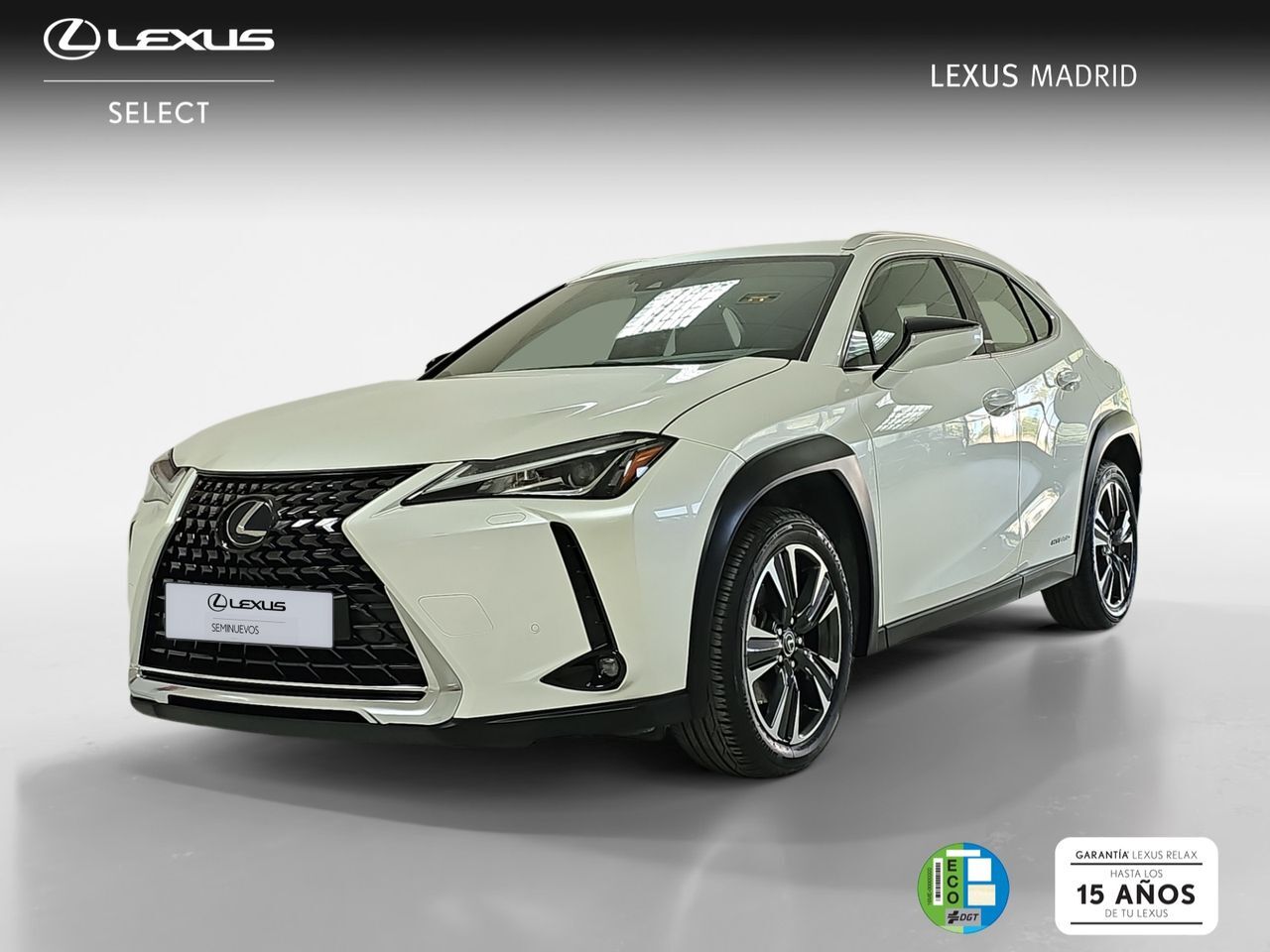 LEXUS UX (2.0 250h Premium) en Madrid