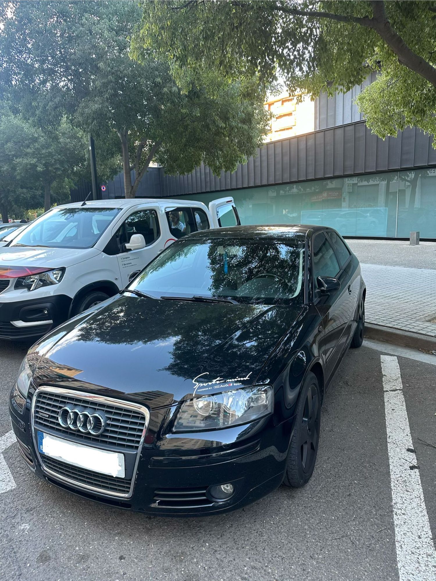 Foto del AUDI A3 2.0TDI Ambiente