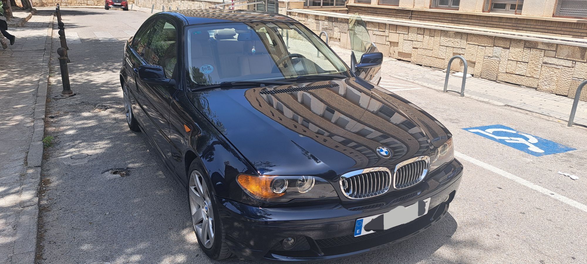Foto del BMW Serie 3 318 Ci