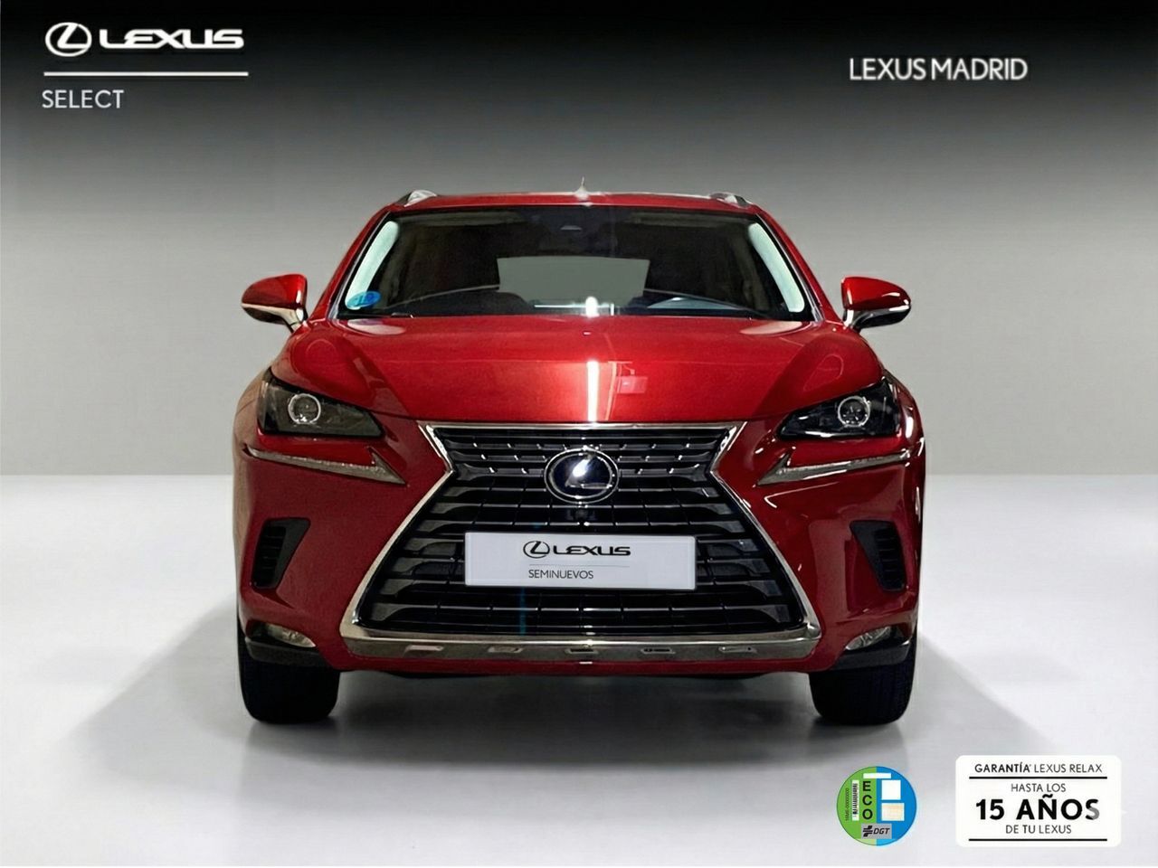 Foto del LEXUS NX 300h Business Navigation 2WD