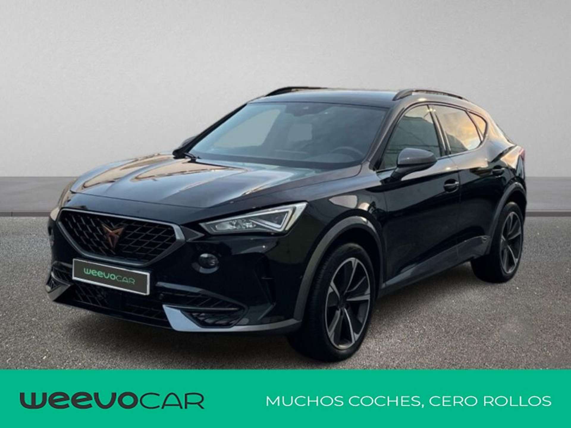 Imagen de CUPRA Formentor