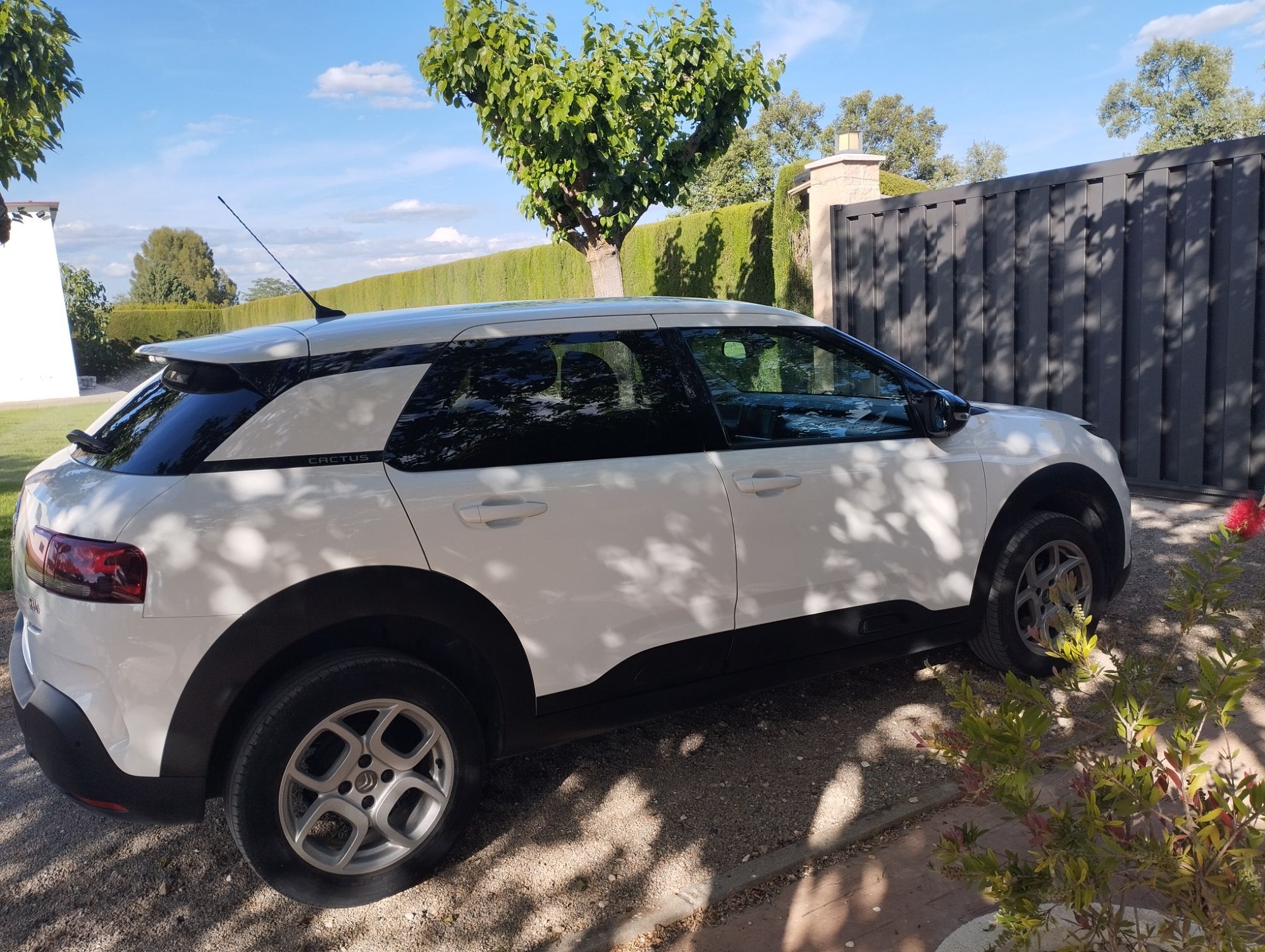 Foto del CITROEN C4 Cactus 1.2 PureTech S&S Shine Pack 110