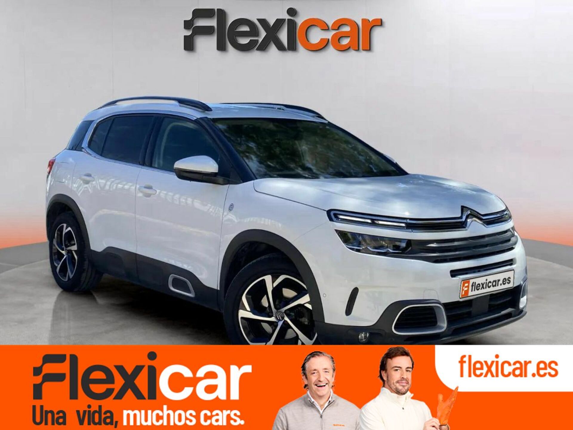 Imagen de CITROEN C5 Aircross