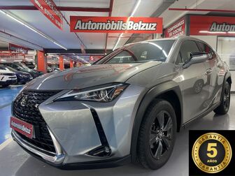 Imagen de LEXUS UX 250h Eco 2WD