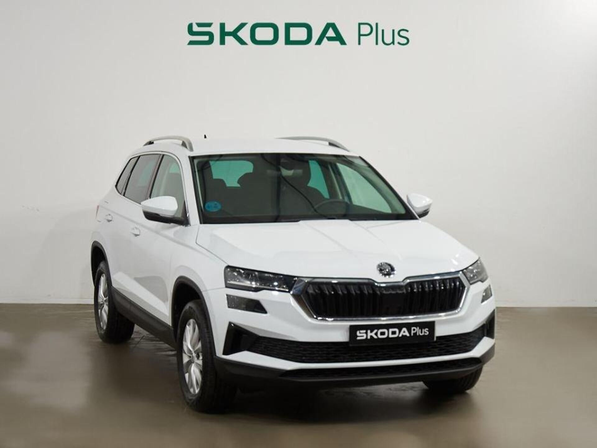 Imagen de SKODA Karoq