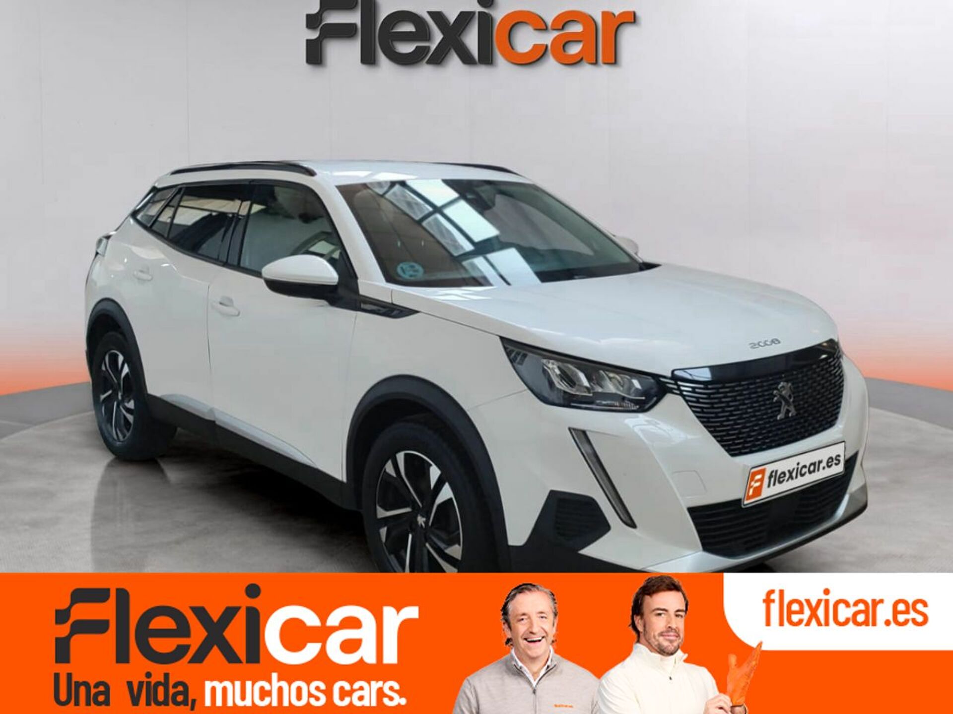 Imagen de PEUGEOT 2008