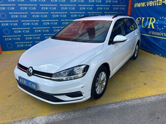 Imagen de VOLKSWAGEN Golf Variant 1.6TDI Edition