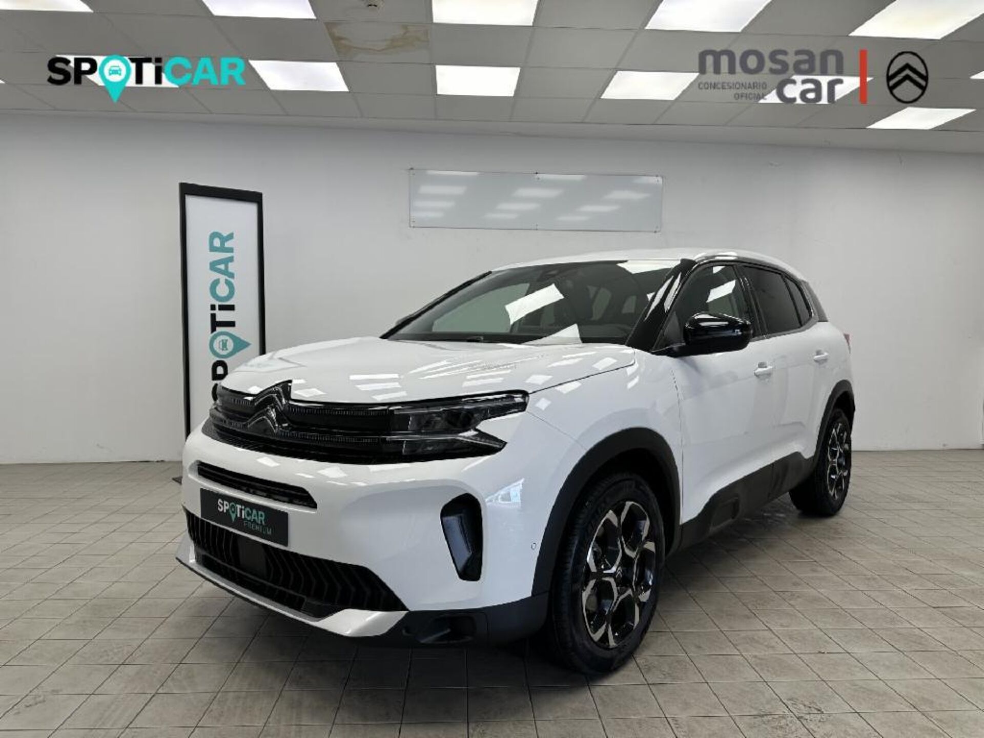 Imagen de CITROEN C5 Aircross