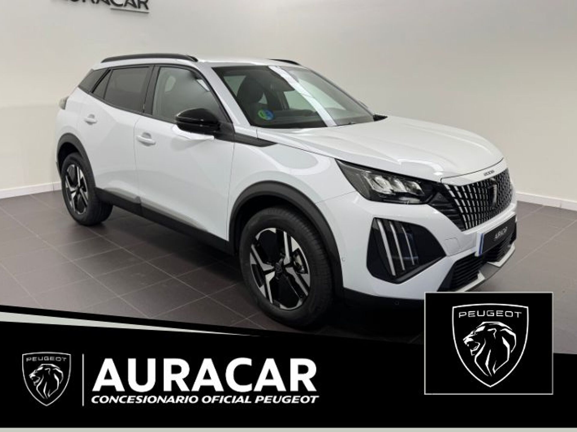 Imagen 1 de PEUGEOT 2008