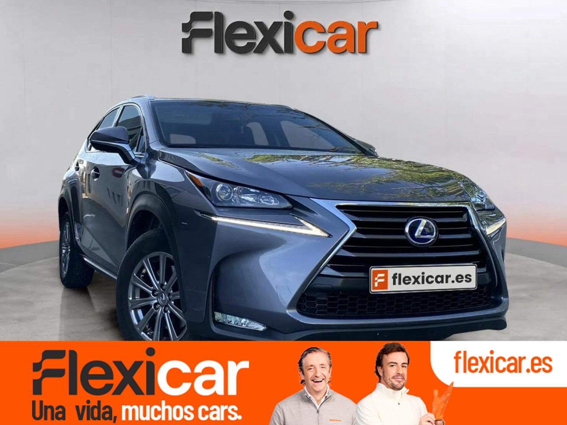 Imagen de LEXUS NX