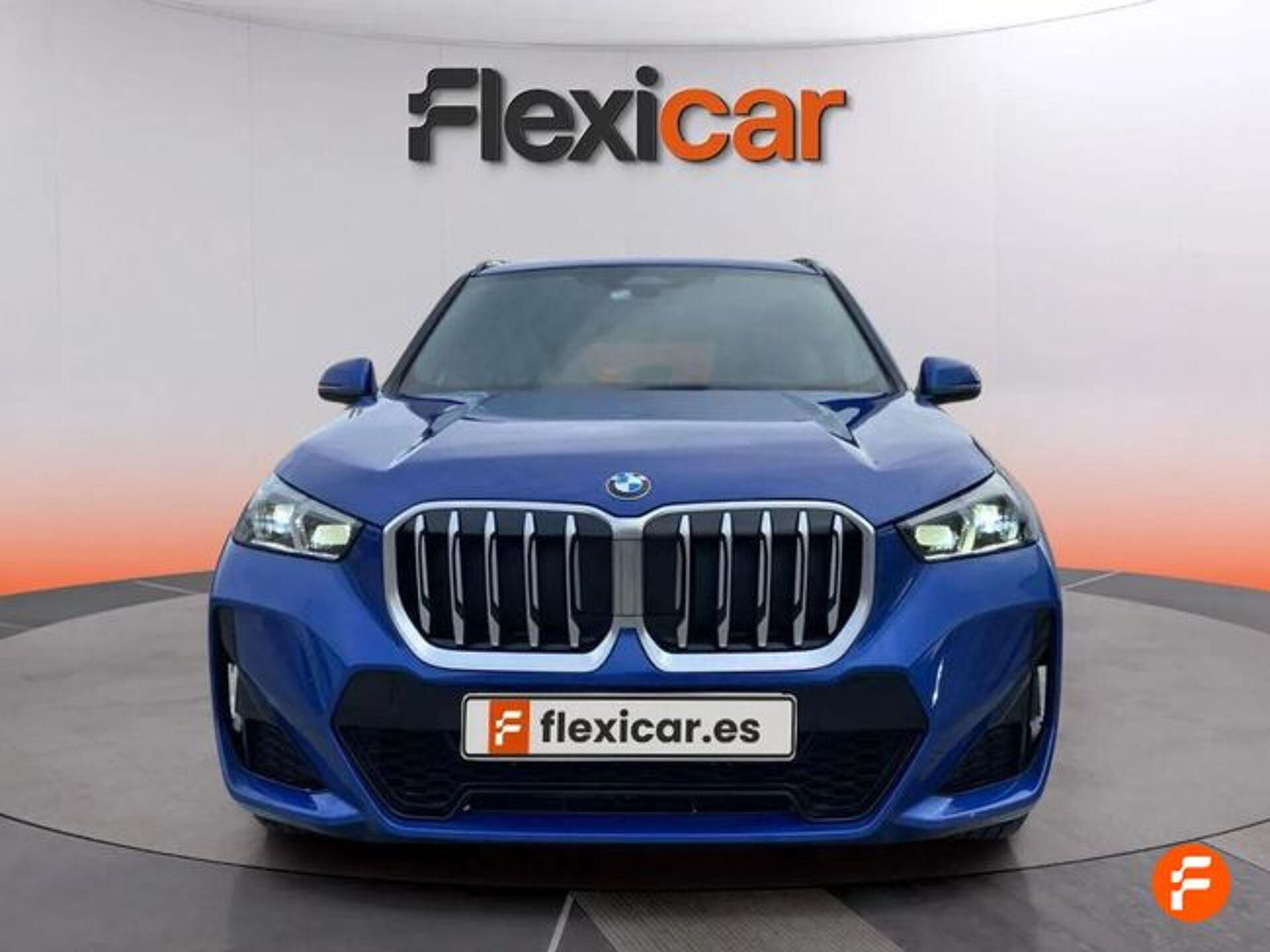 Imagen 2 de BMW X1