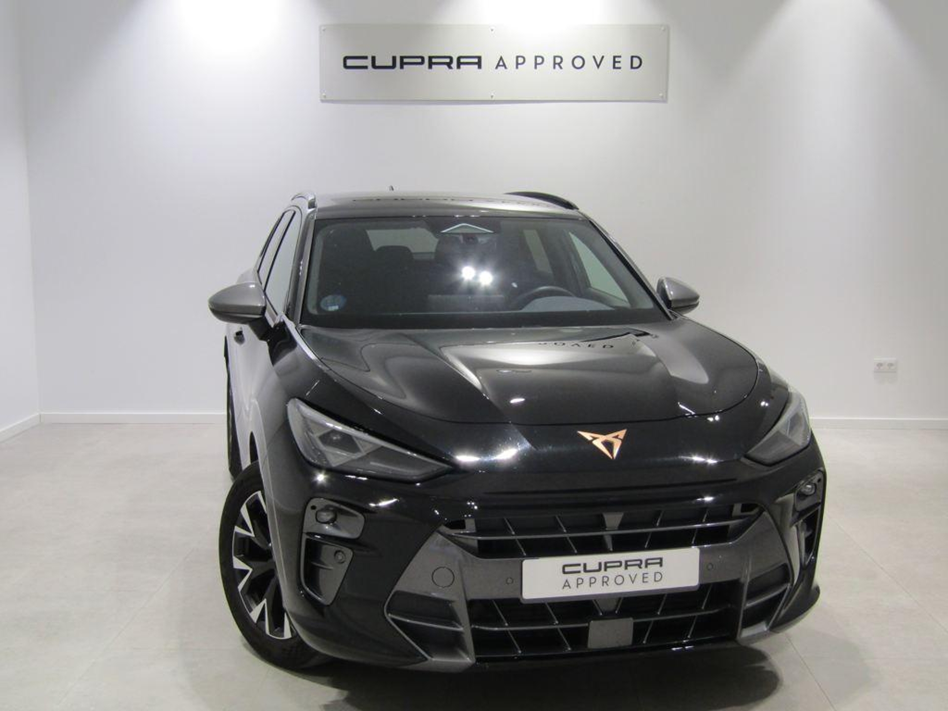 Imagen de CUPRA Terramar