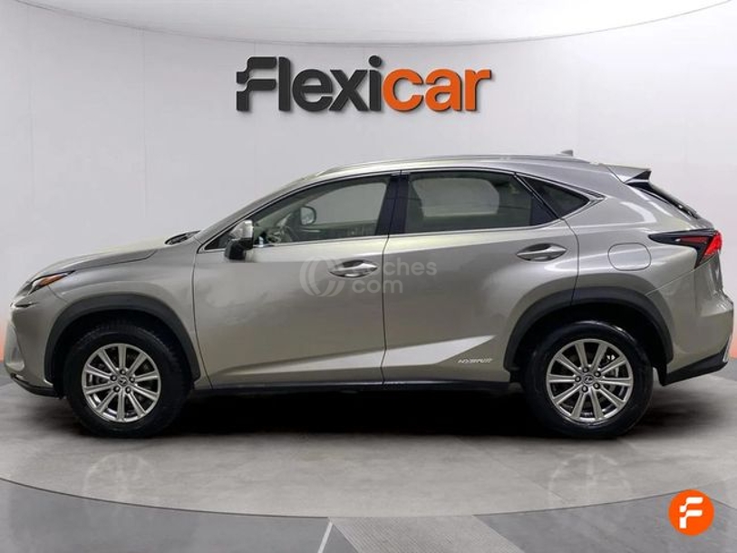 Foto del LEXUS NX 300h Business 2WD