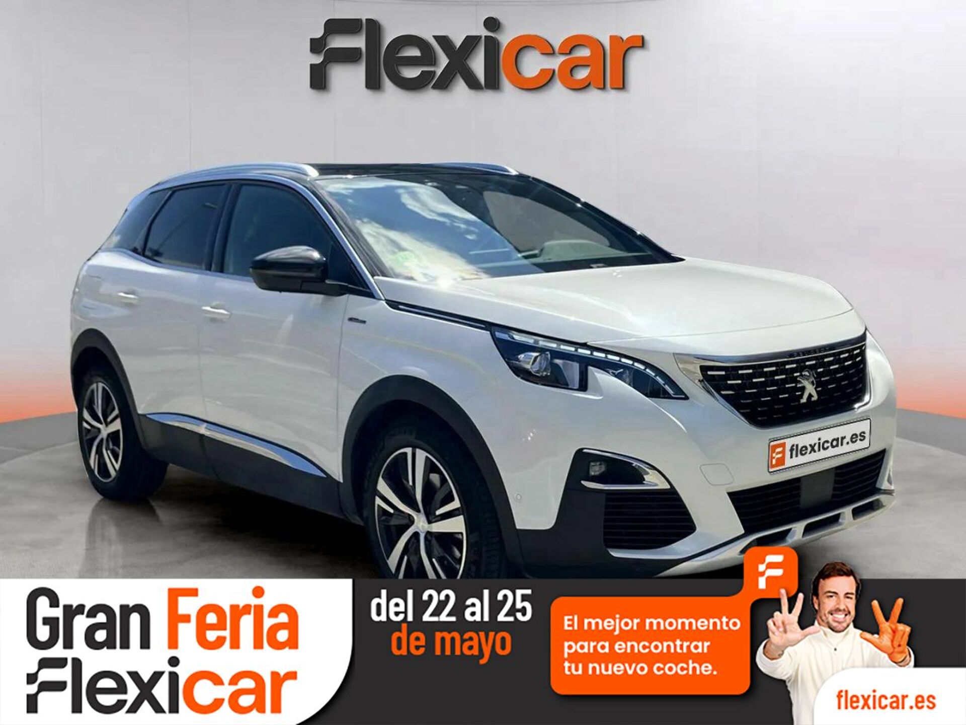Imagen de PEUGEOT 3008