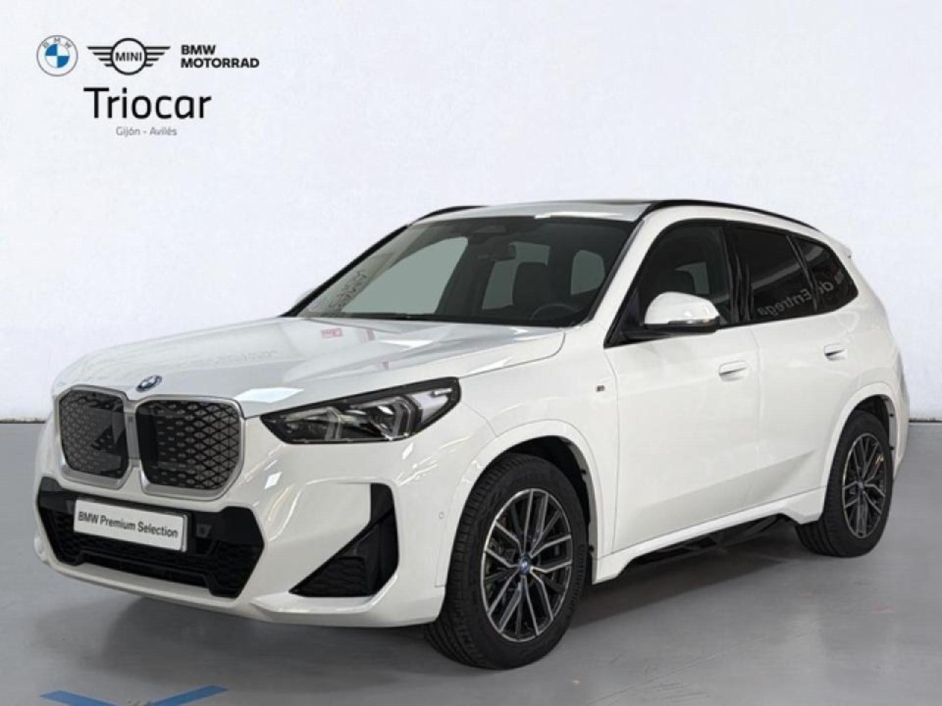 Imagen de BMW X1
