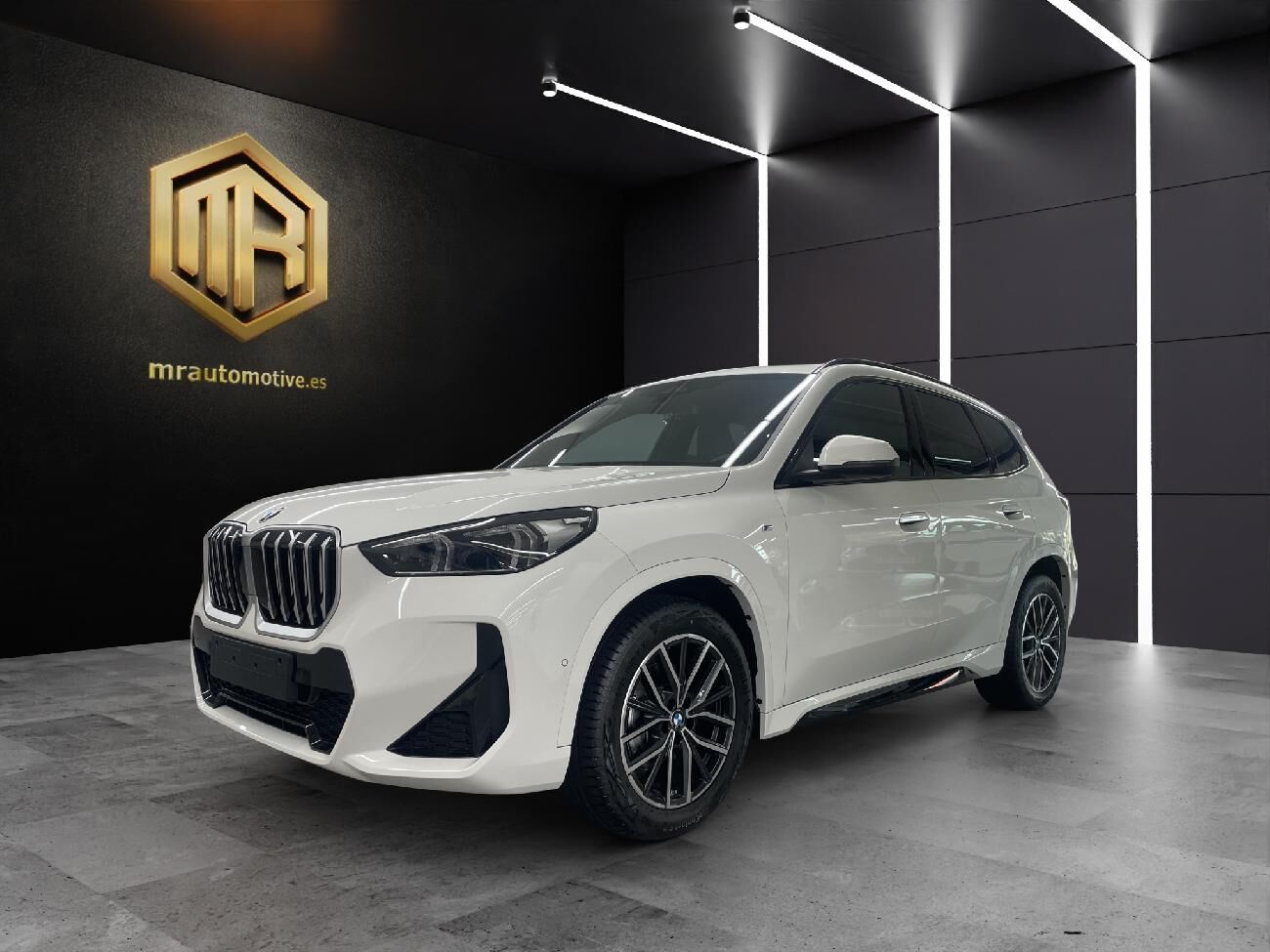 BMW X1 (X1 sDrive 18d) en Madrid