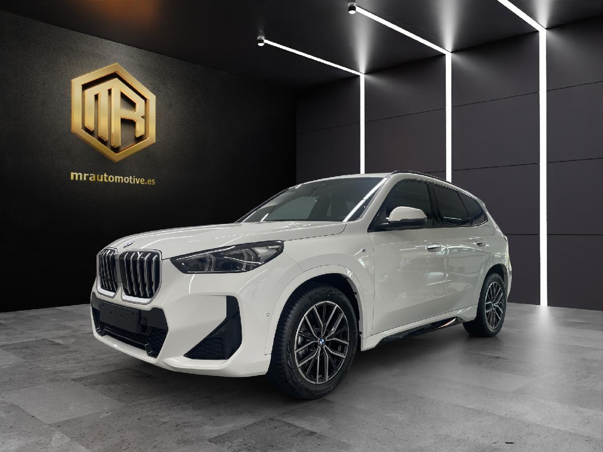 Imagen de BMW X1