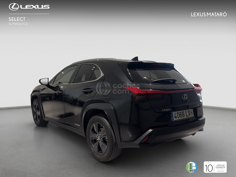 Foto del LEXUS UX 250h Business 4WD