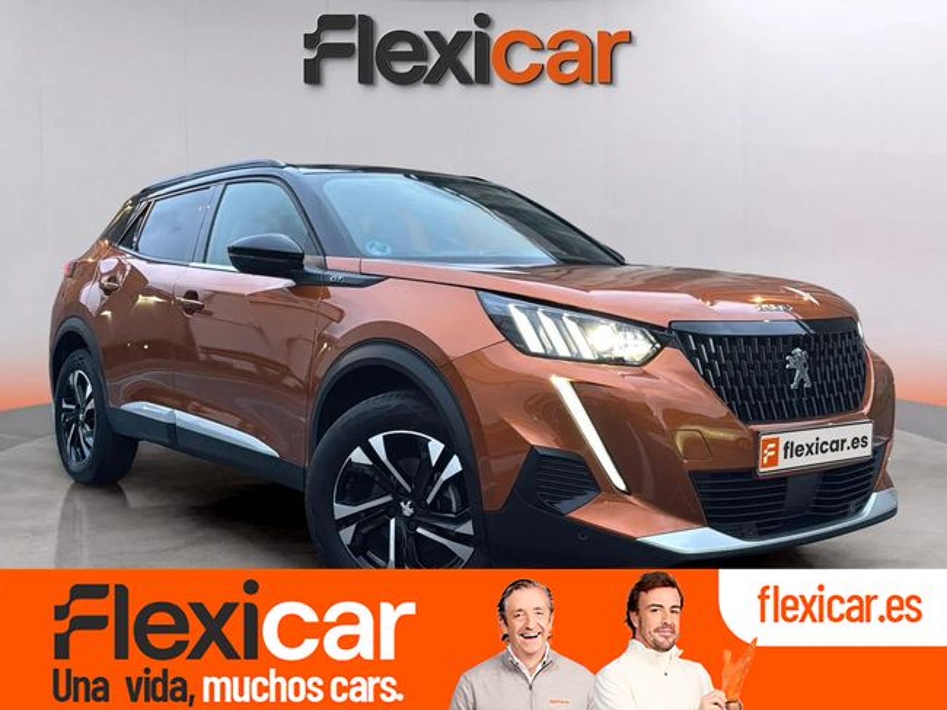 Imagen de PEUGEOT 2008