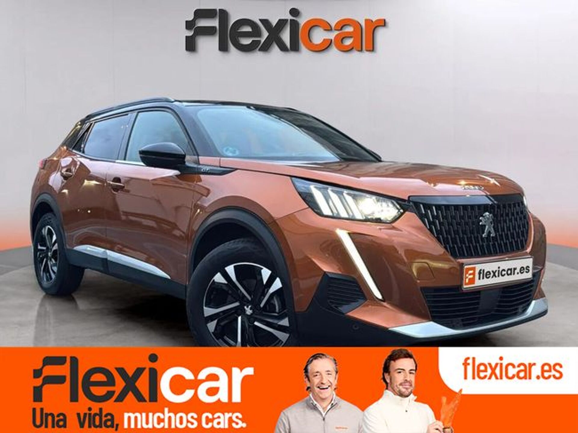 Imagen 1 de PEUGEOT 2008