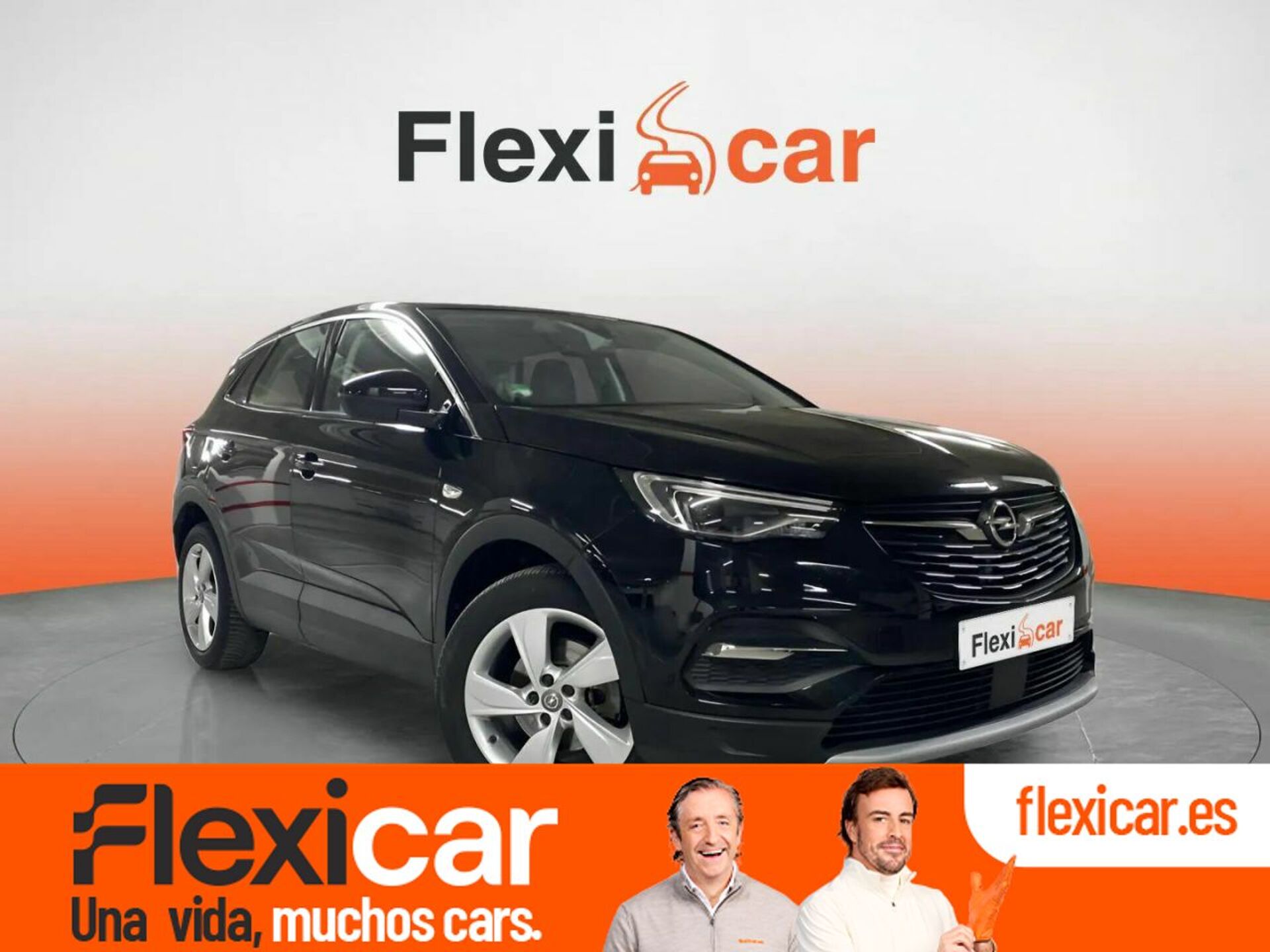 Imagen de OPEL Grandland X