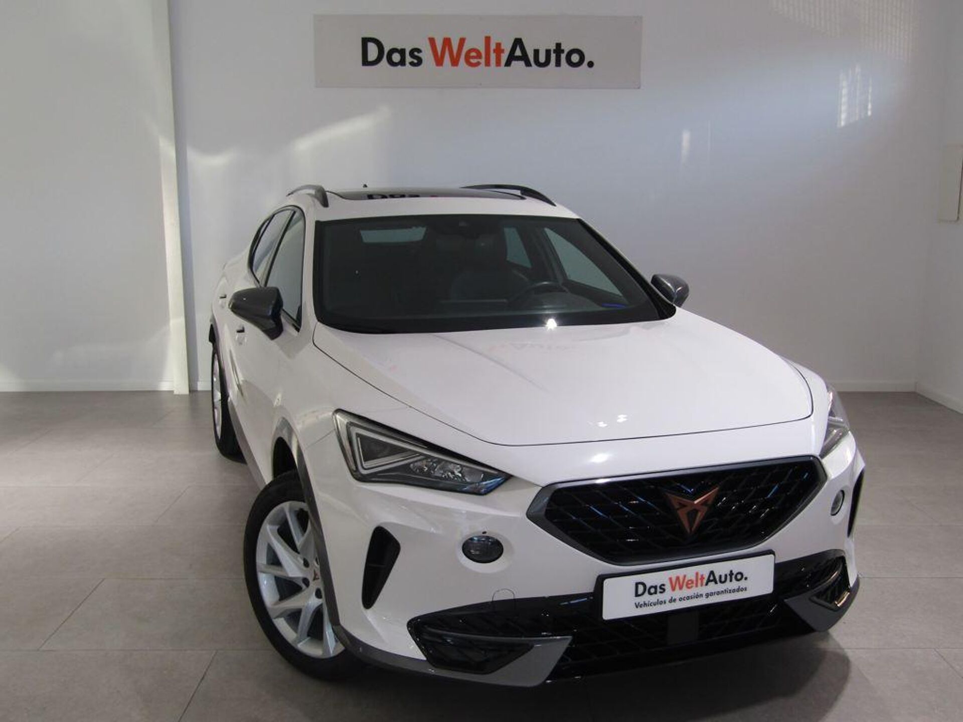 Imagen de CUPRA Formentor