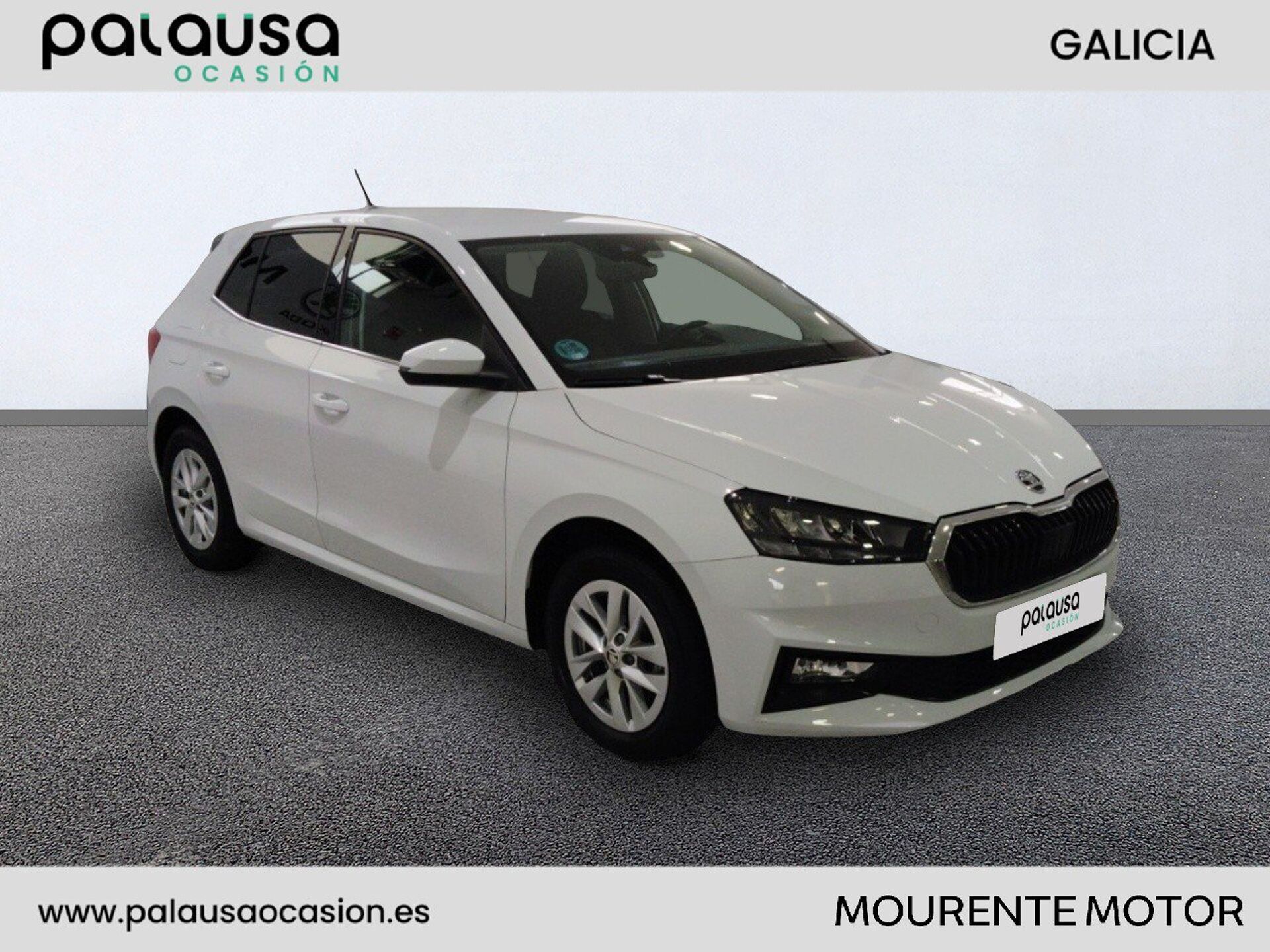 Imagen 2 de SKODA Fabia