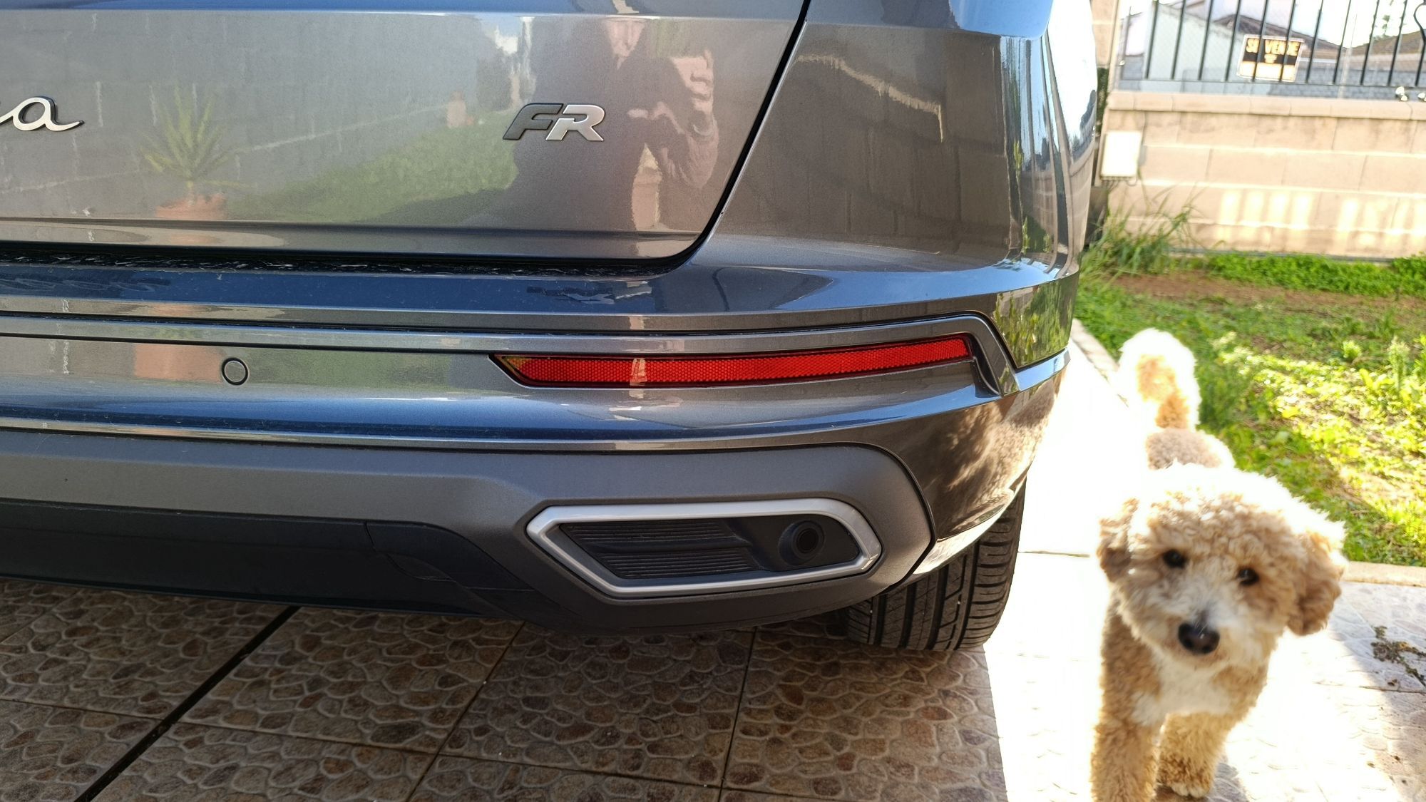 Foto del SEAT Ateca 1.0 TSI S&S FR Special Edition