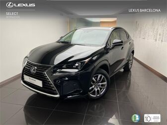 Imagen de LEXUS NX 300h Executive 4WD