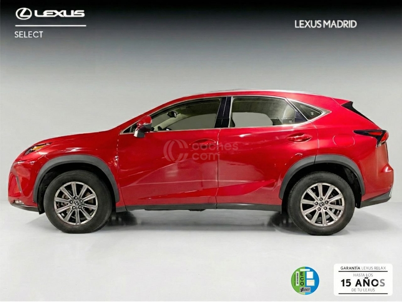 Foto del LEXUS NX 300h Business Navigation 2WD