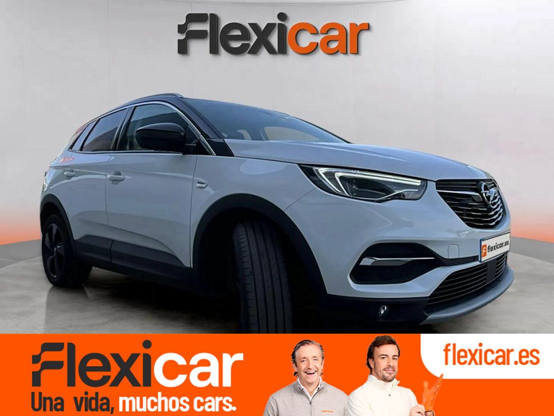 Imagen de OPEL Grandland X