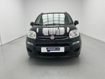 Imagen de FIAT Panda 1.2 Lounge