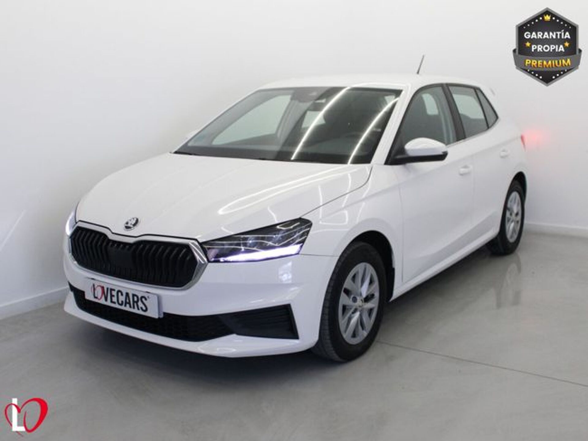 Imagen 3 de SKODA Fabia