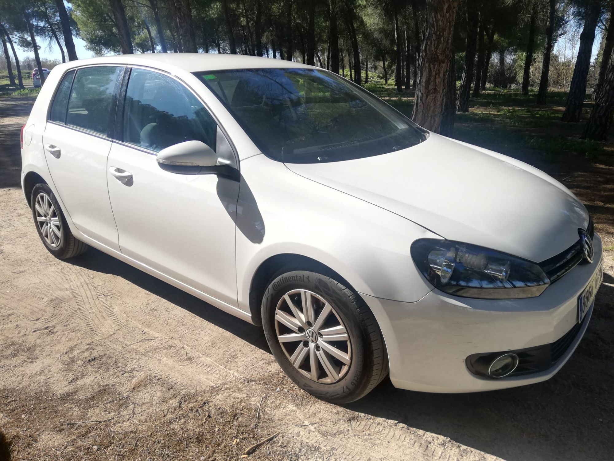 Foto del VOLKSWAGEN Golf Variant 1.6 TDI CR Advance