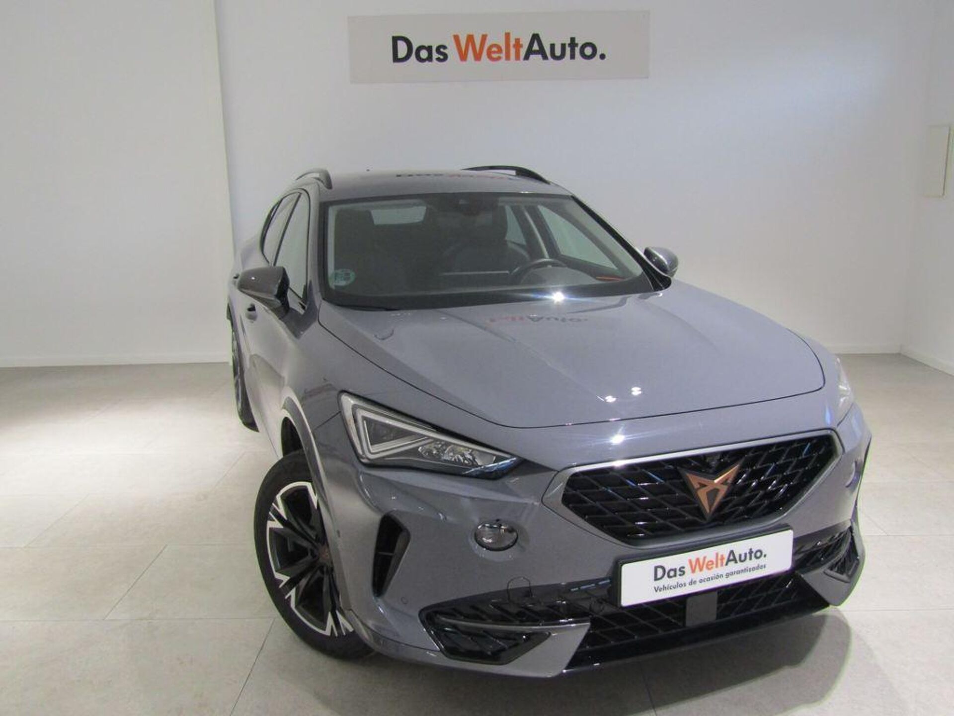 Imagen de CUPRA Formentor