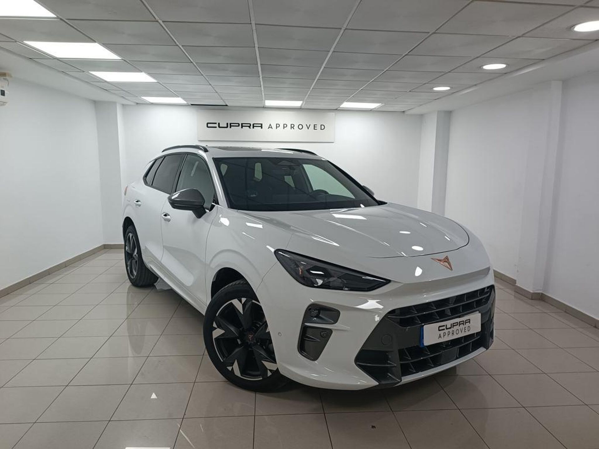 Imagen 1 de CUPRA Terramar