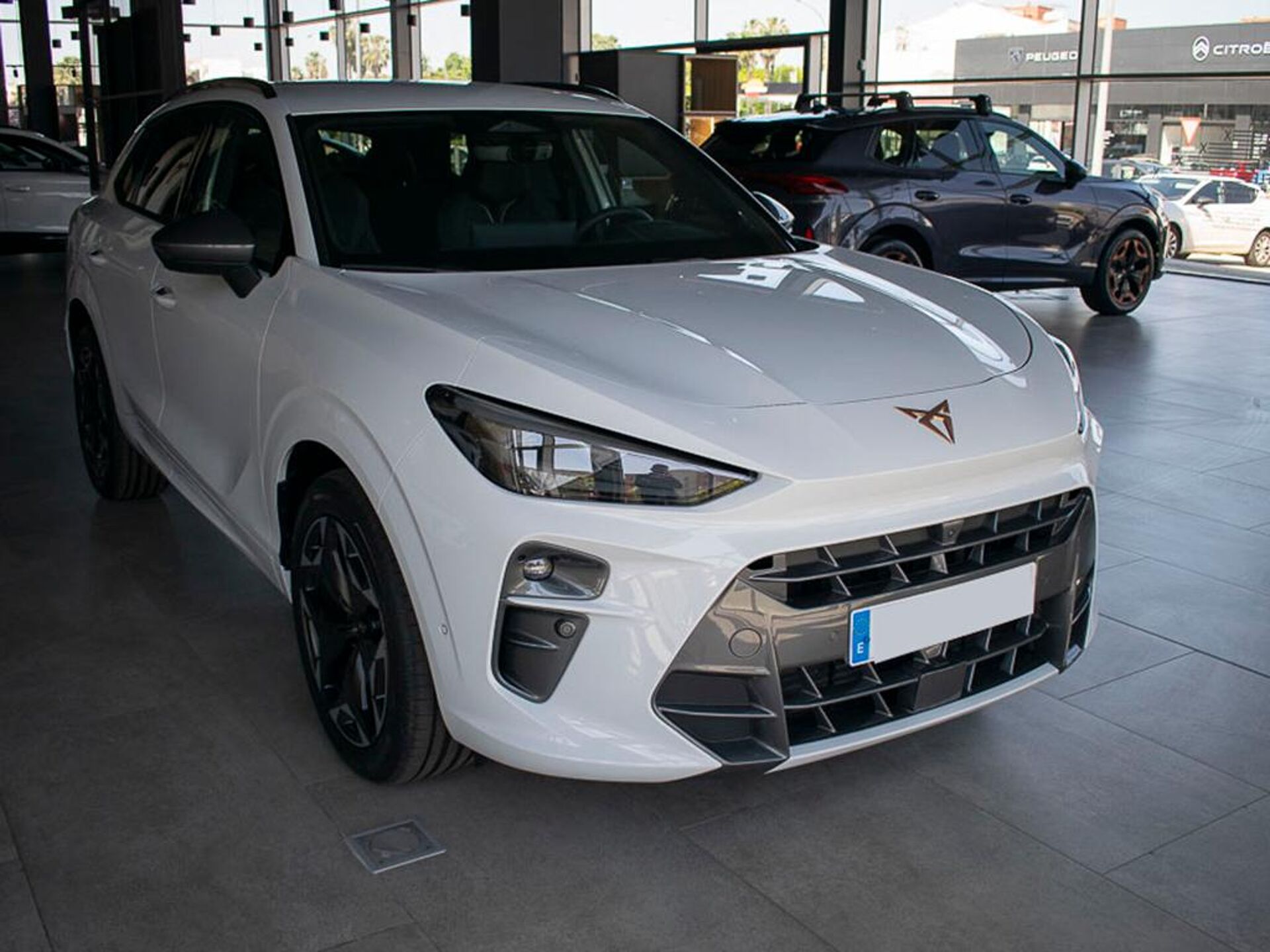 Imagen de CUPRA Terramar