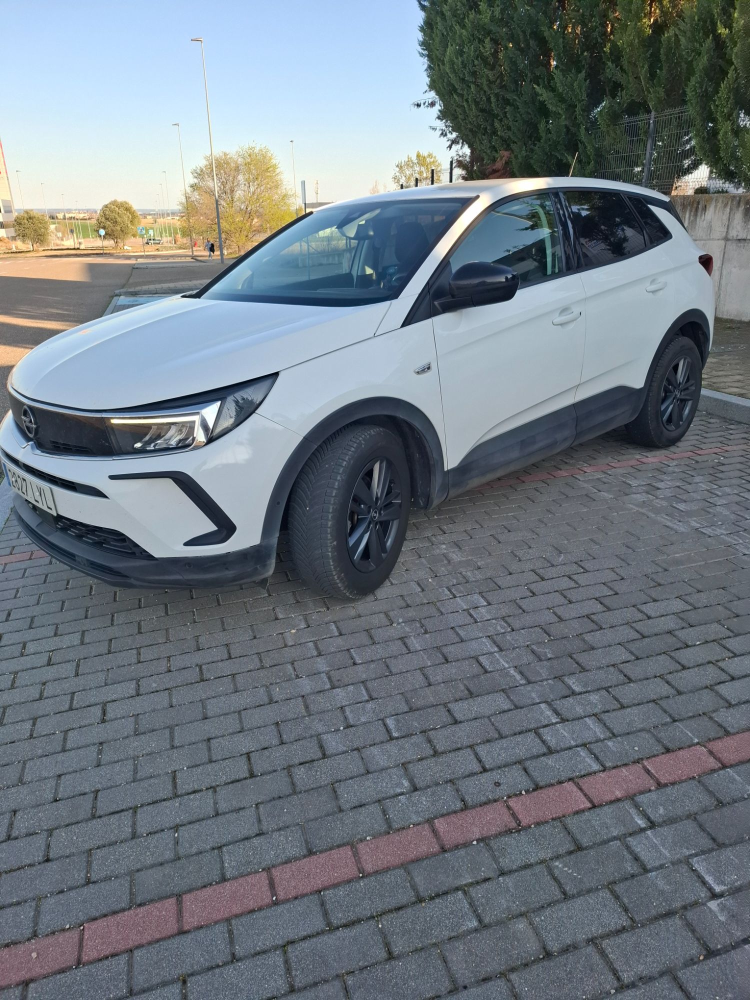 Foto del OPEL Grandland 1.5CDTi S&S Business Edition Aut. 130