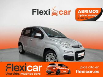 Imagen de FIAT Panda 1.2 Easy