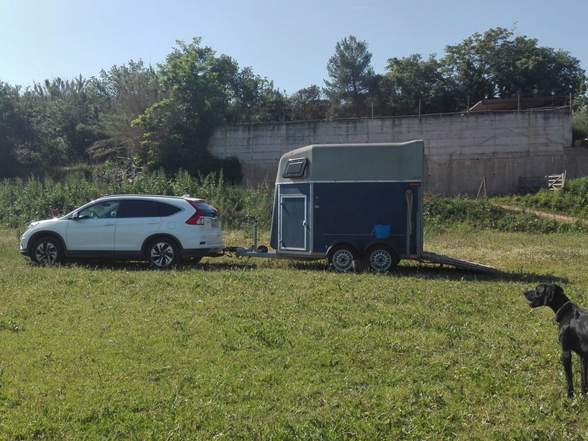 Imagen 1 de HONDA CR-V