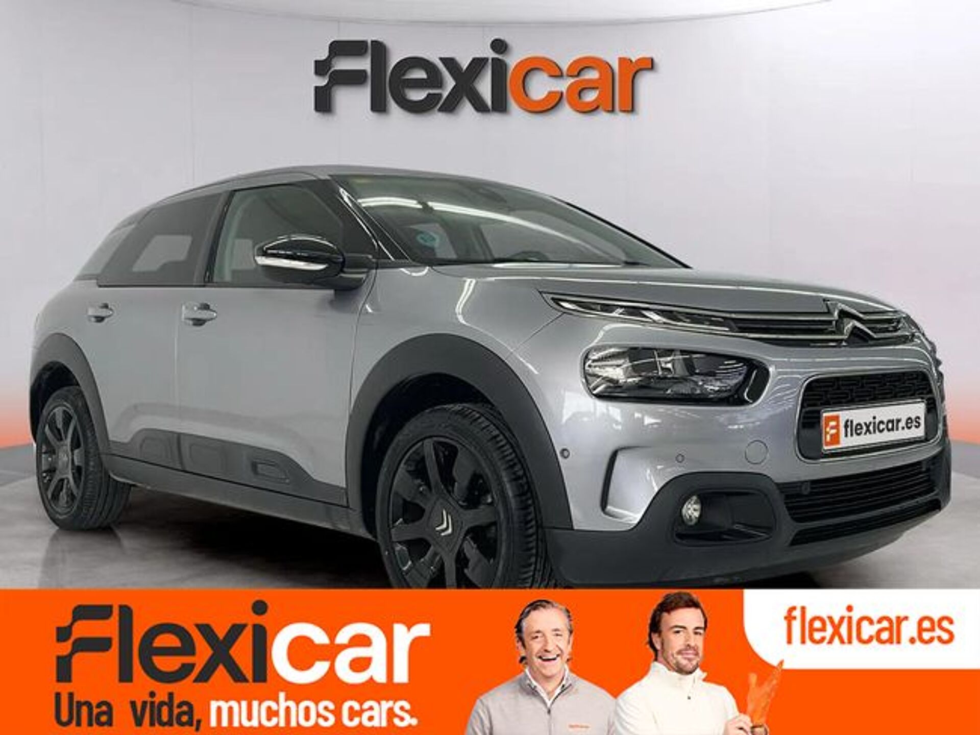 Imagen de CITROEN C4 Cactus