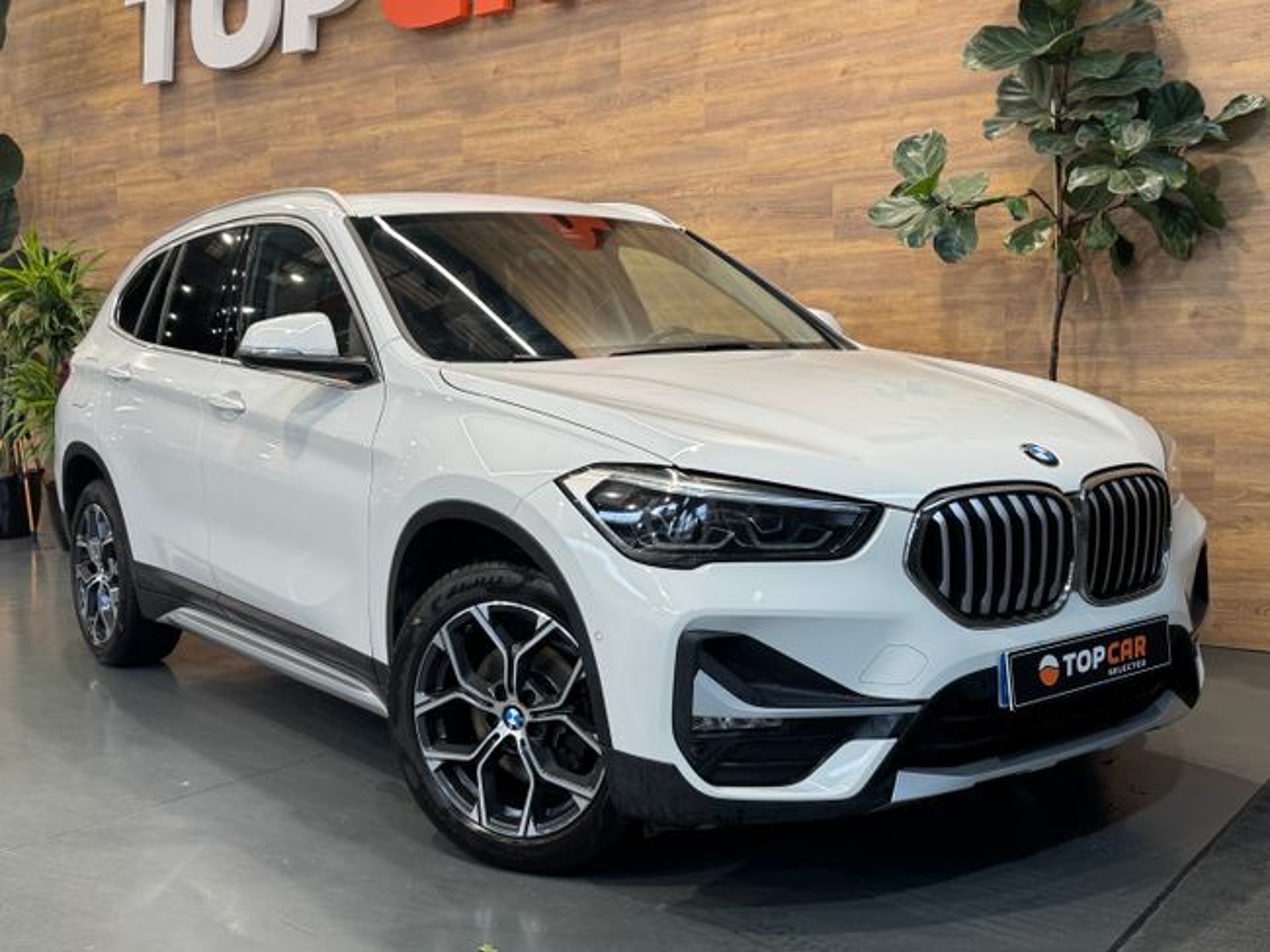 Imagen de BMW X1