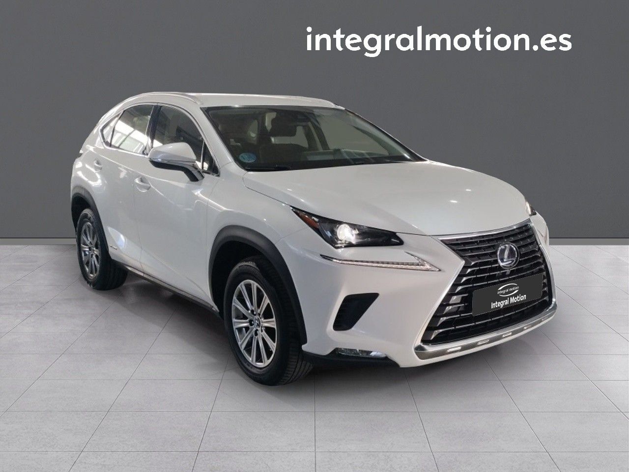 Foto del LEXUS NX 300h Business Navigation 2WD