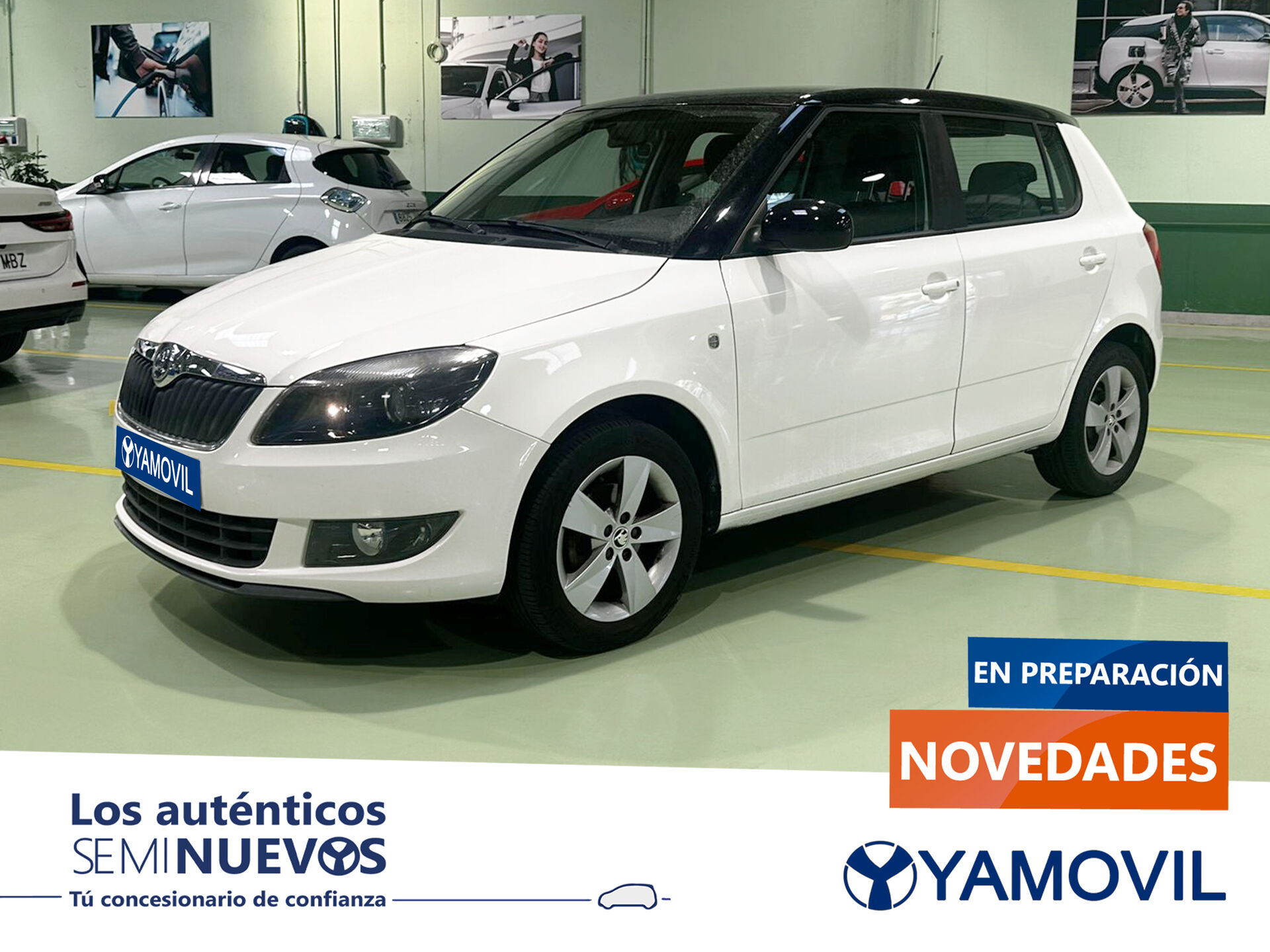 Imagen de SKODA Fabia