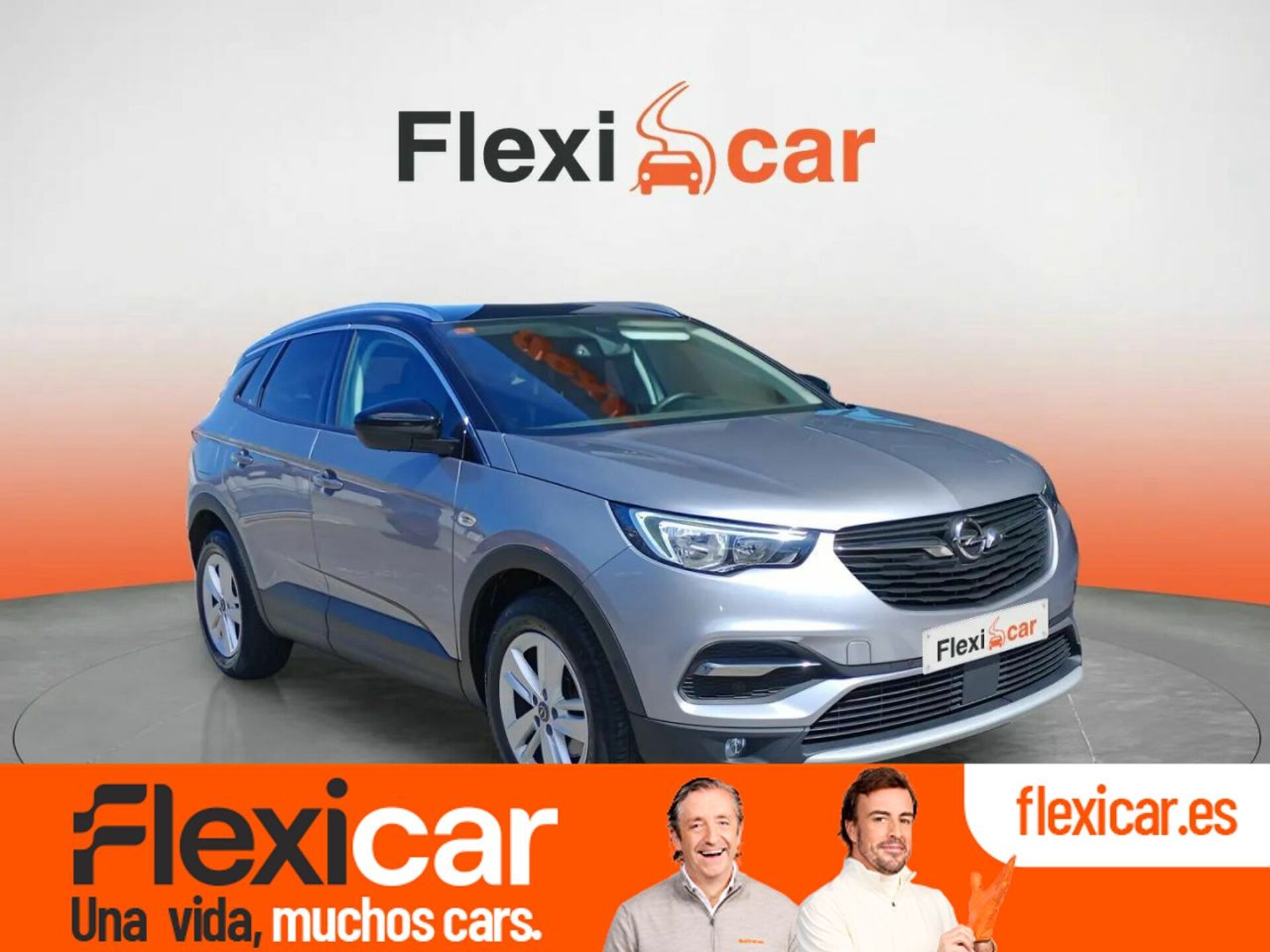 Imagen de OPEL Grandland X